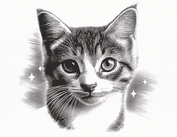 Croquetas para gatos movil