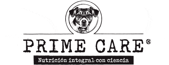 Prime care logotipo