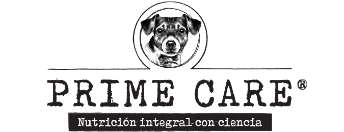 Prime care logotipo